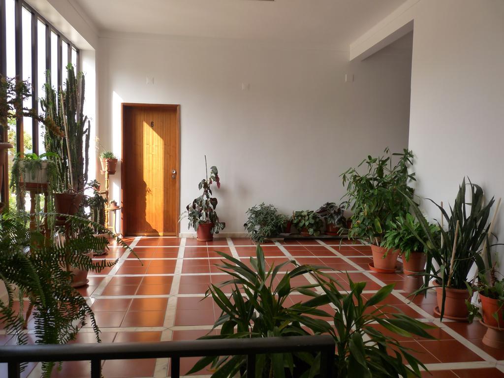 Residencial O Bras Hotel Alvaiazere Ngoại thất bức ảnh